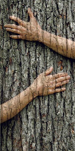 tree-hug-web